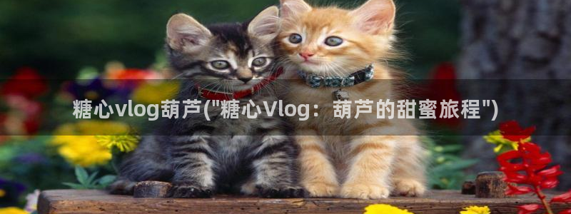 糖心vlog成人短视频