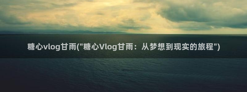 糖心vlog私信
