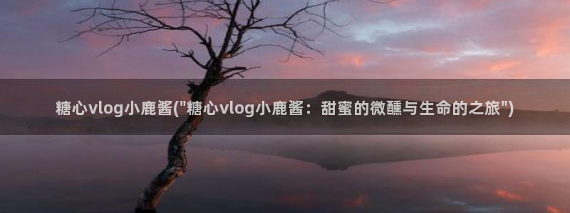 糖心vlog名媛