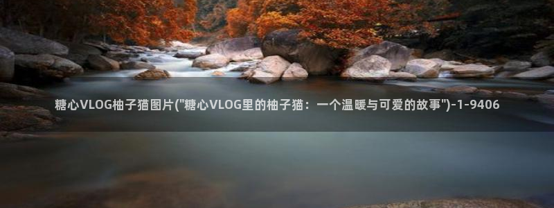 糖心vlog事件