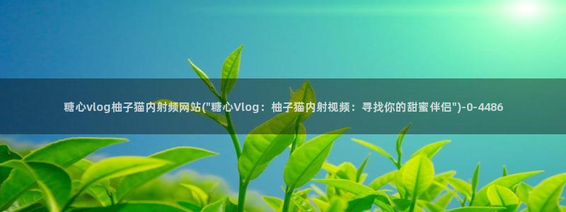 糖心vlog 包子