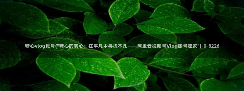 董小姐糖心vlog:糖心vlog帐号(\