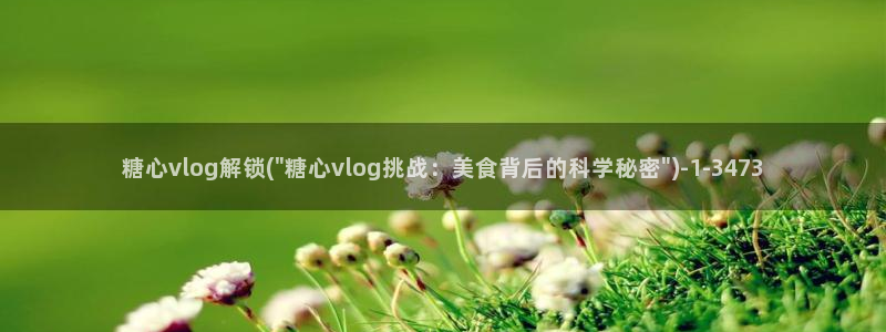 糖心vlog网址苹果版