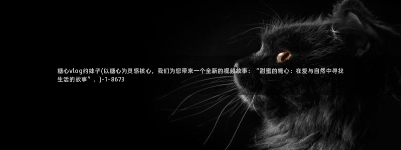 糖心vlog雷姆：糖心vlog约妹子(以