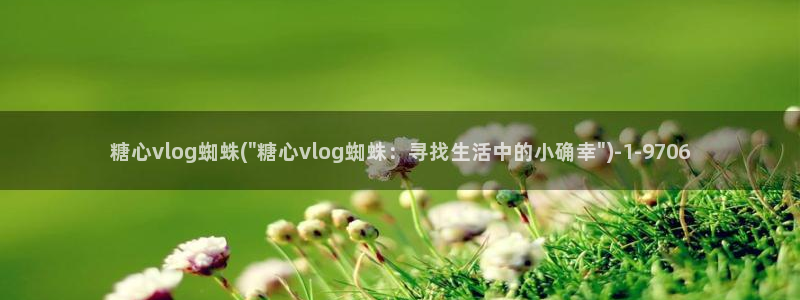 下载糖心vlog会怎样：糖心vlog蜘蛛