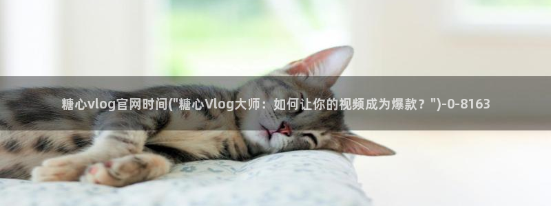 糖心vlog小鱼