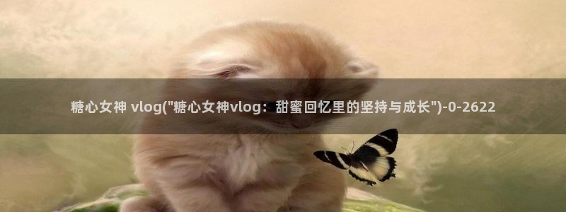 糖心vlog的评价