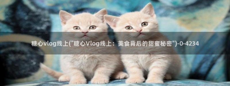 糖心vlog会员打折