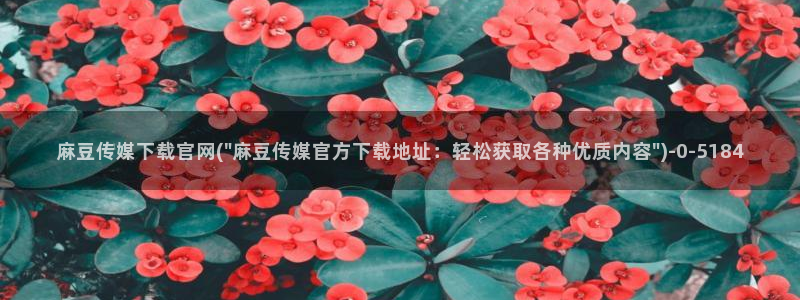 麻豆排行页：麻豆传媒下载官网(\
