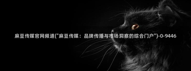 麻豆视频合集整理