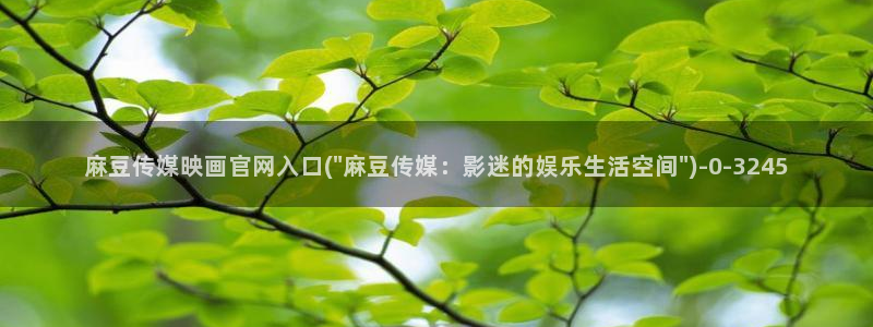 麻豆视频SEO词库：麻豆传媒映画官网入口(\