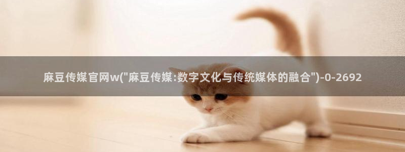 麻豆视频描述规则：麻豆传媒官网w(\