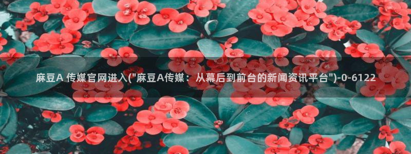 麻豆视频解说文案：麻豆A 传媒官网进入(\