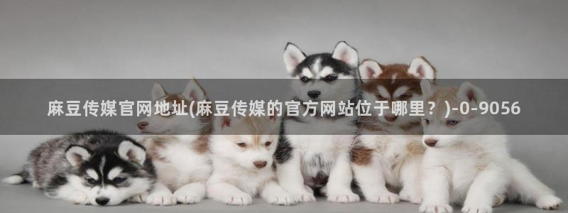 麻豆视频在线：麻豆传媒官网地址(麻豆传媒的官方网站位于哪里？)