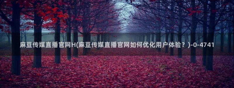 麻豆视频精准词：麻豆传媒直播官网H(麻豆传媒直播官网如何优化用户体验？)