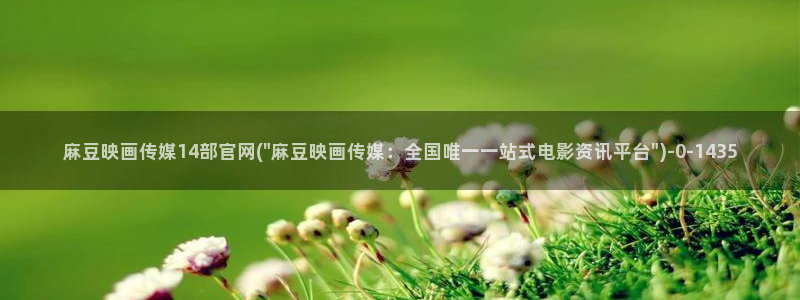麻豆演员资料：麻豆映画传媒14部官网(\