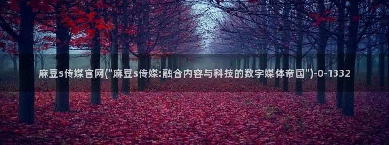 麻豆视频站