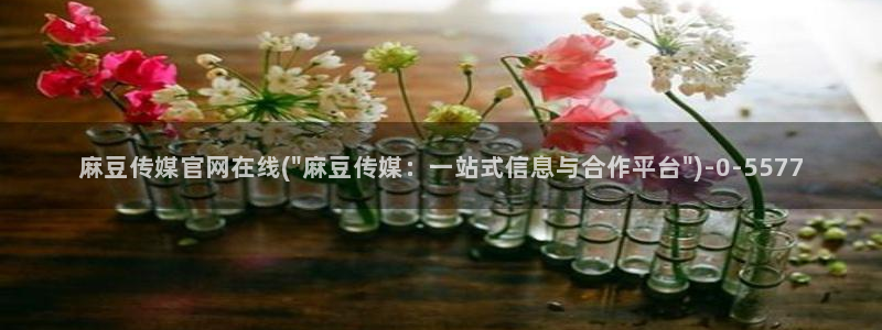 麻豆视频指南文案