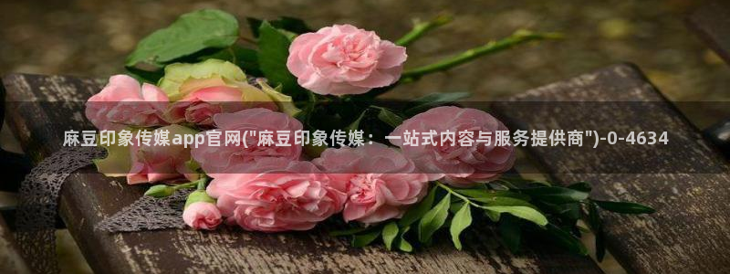 麻豆视频站关键词：麻豆印象传媒app官网(\