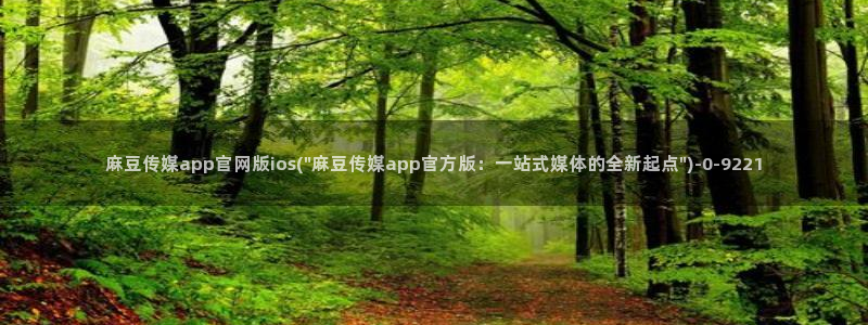 麻豆视频详情文案