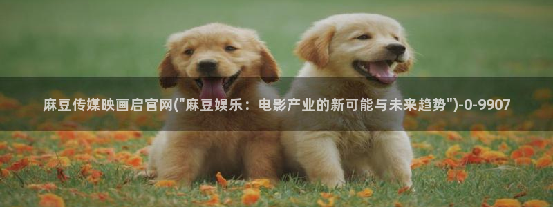 麻豆演员资料