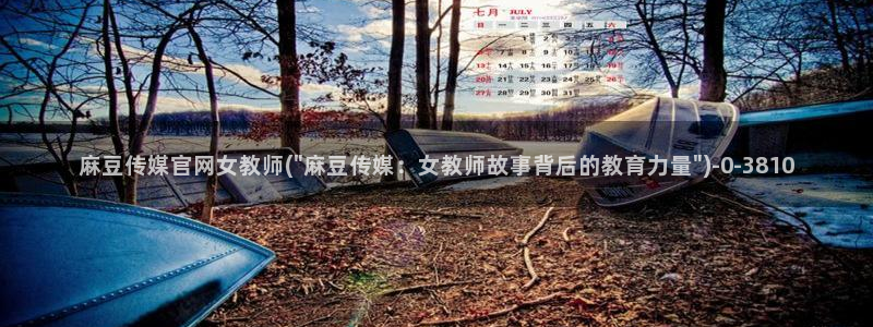 麻豆视频截图