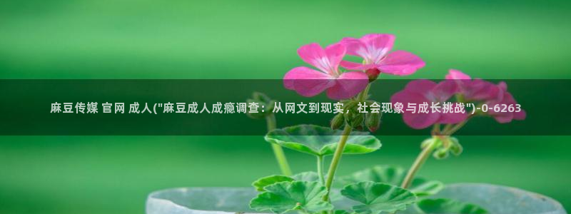 麻豆视频评分