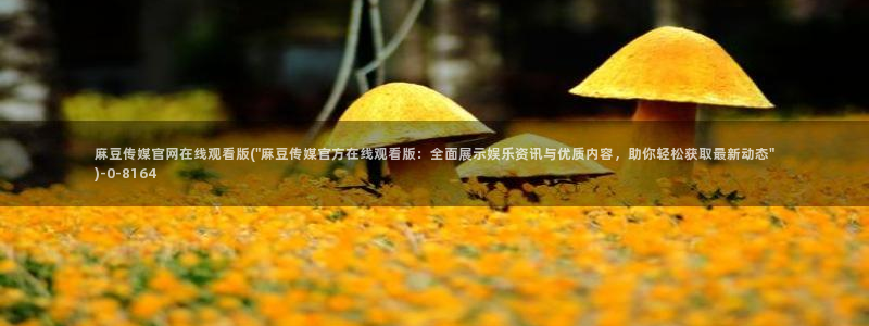 麻豆视频封面