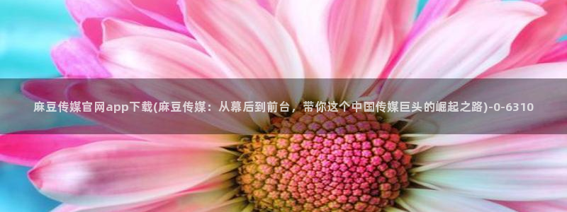 麻豆内容采集