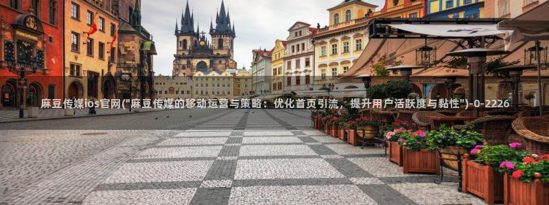 麻豆视频首页文案