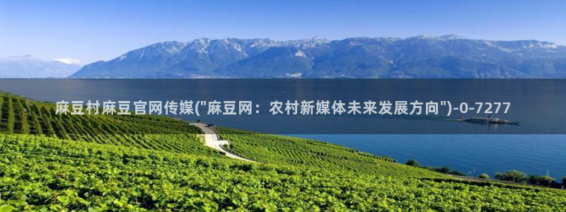 麻豆页面收录