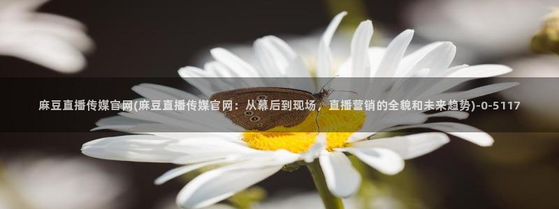 麻豆新人演员