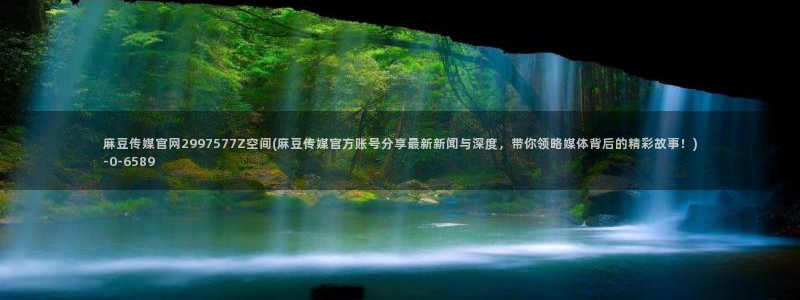 麻豆视频相关搜索