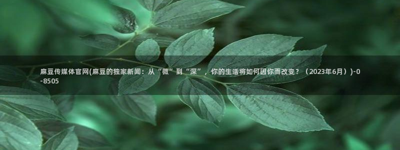麻豆页面收录