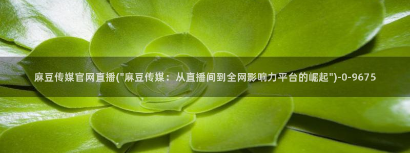 麻豆视频合集