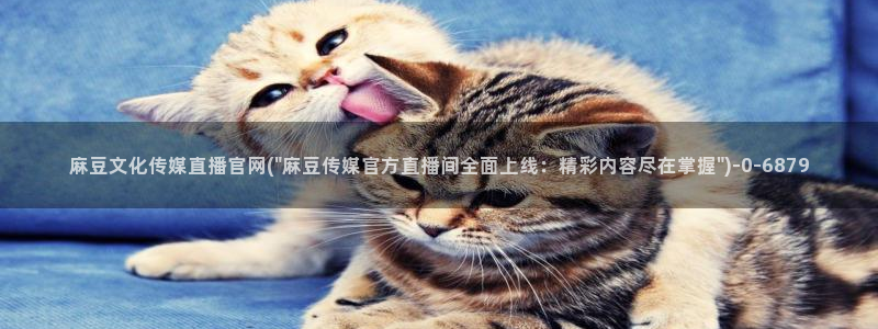 麻豆内容采集