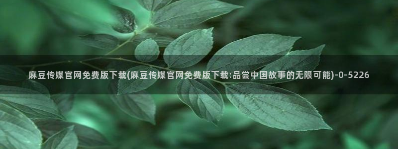 麻豆视频清晰导航