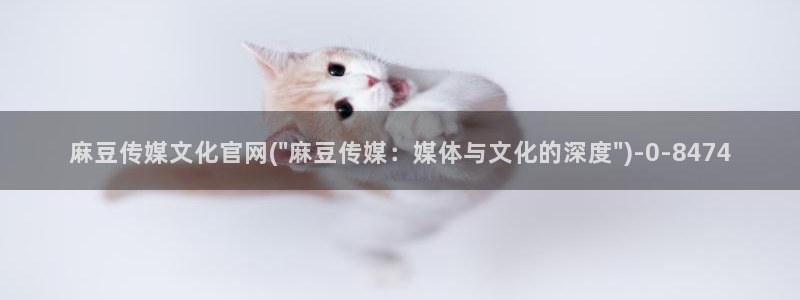 麻豆传媒演员