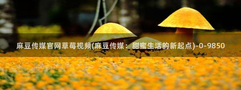 麻豆视频入口